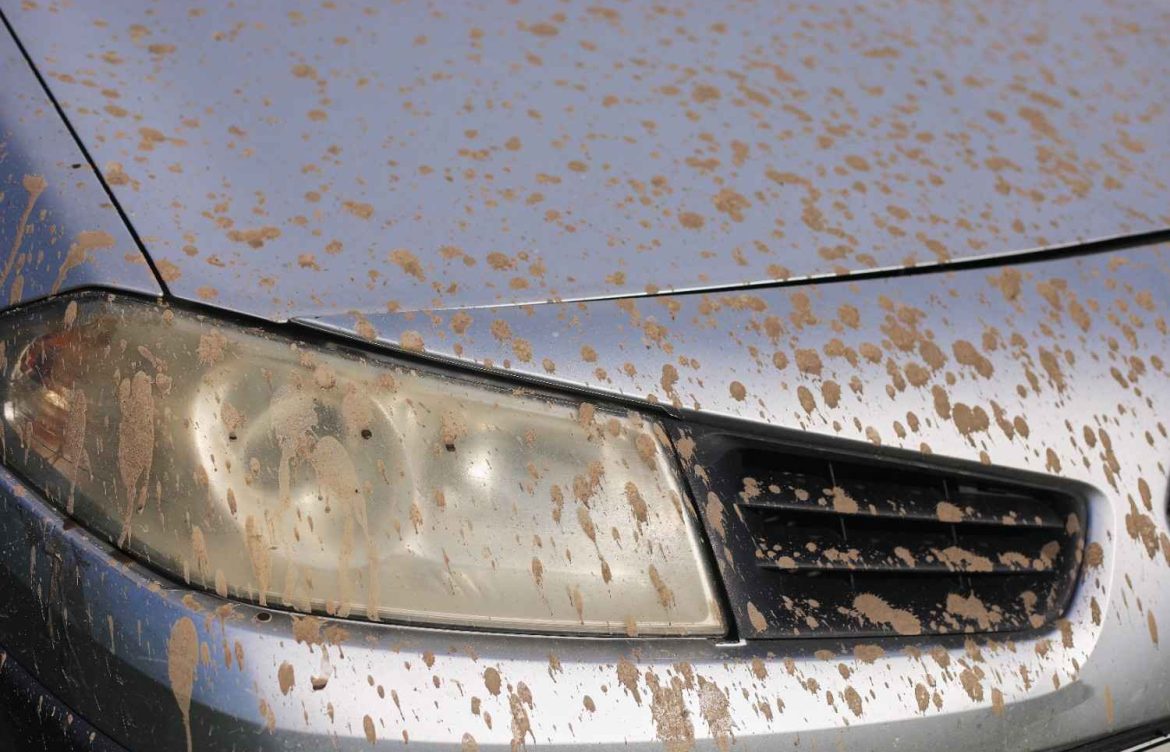What Are the Best Car Wash Tips to Prevent Salt Damage in Winter?